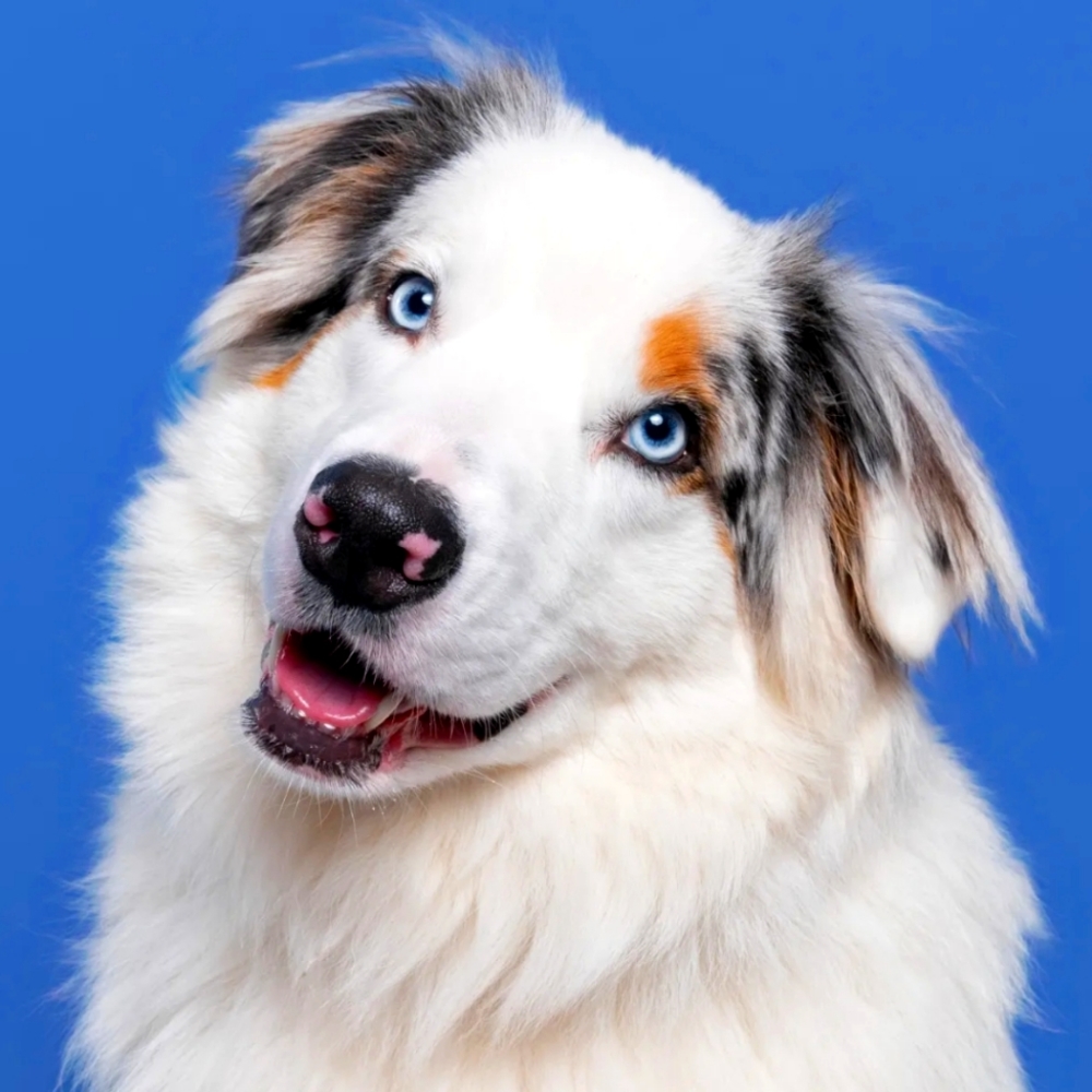 Meet your Posher, Kinnari